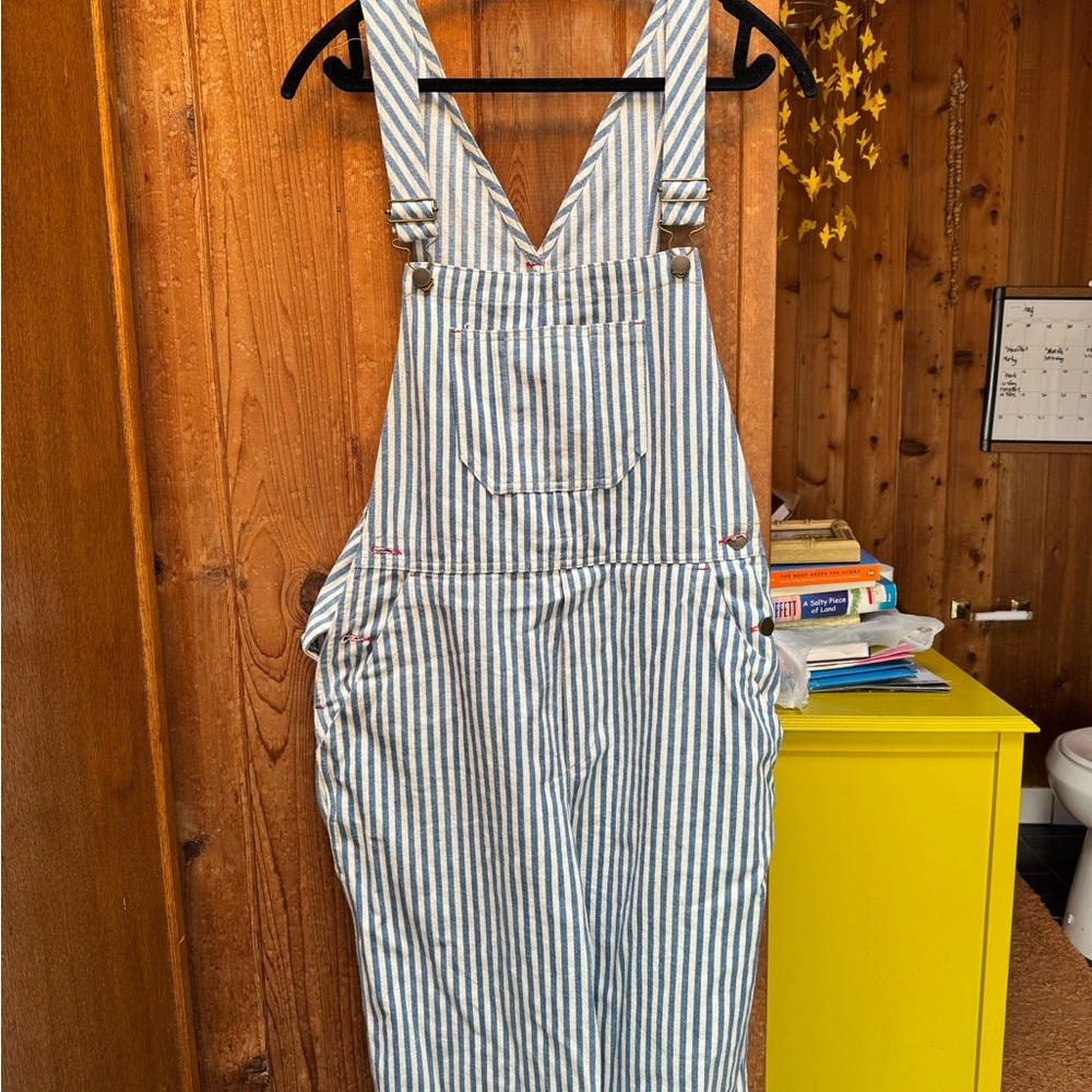 Striped Blue and White Overalls